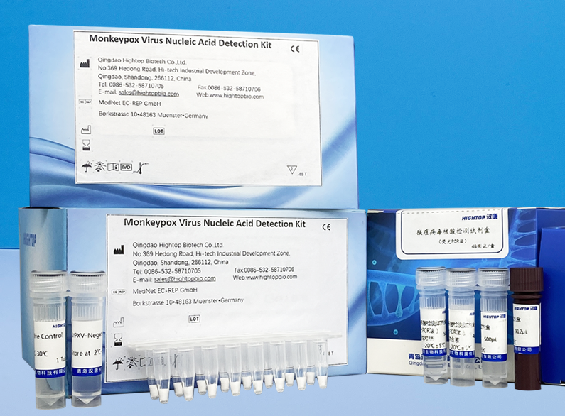 Monkeypox virus nucleic acid detection kit